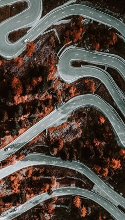 formAbove